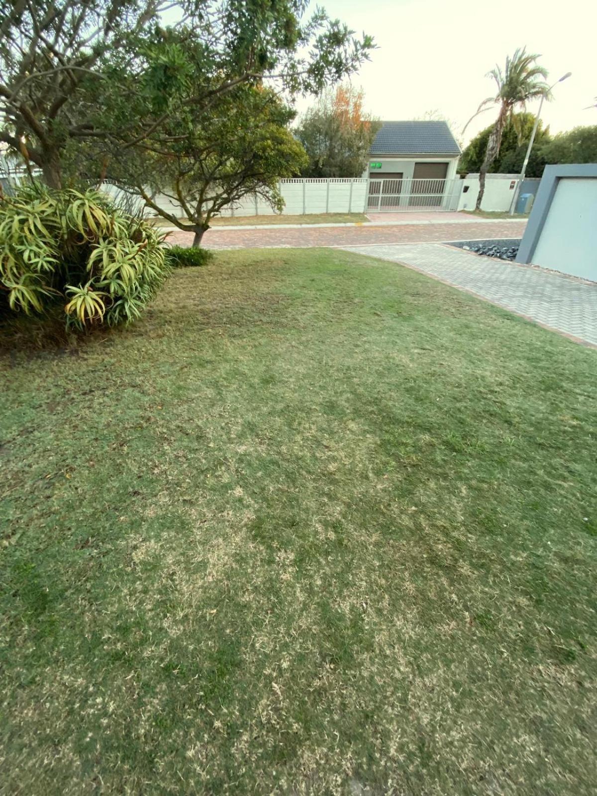Modern Cozy Near Beach- 1 Bedroom Apartment *